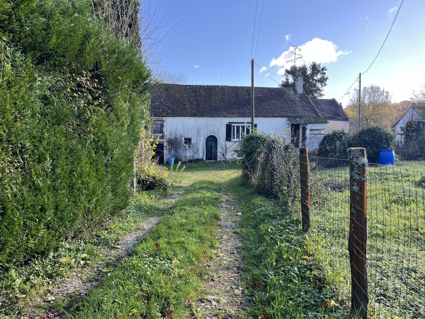 property